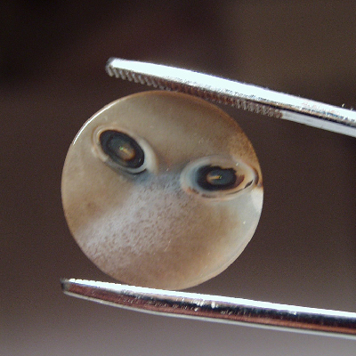 Fantastic Dendritic Agate Face Alien ONE OF A KIND Litnon.com