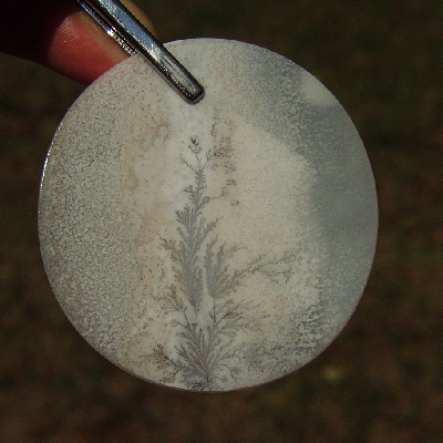 All Natural! Fine Quality Dendritic Agate India Litnon.com