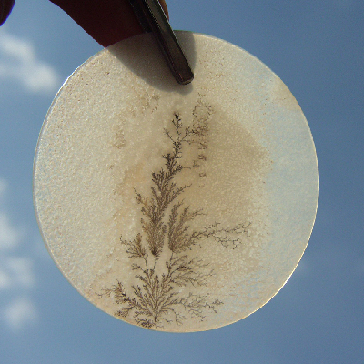 All Natural! Fine Quality Dendritic Agate India Litnon.com