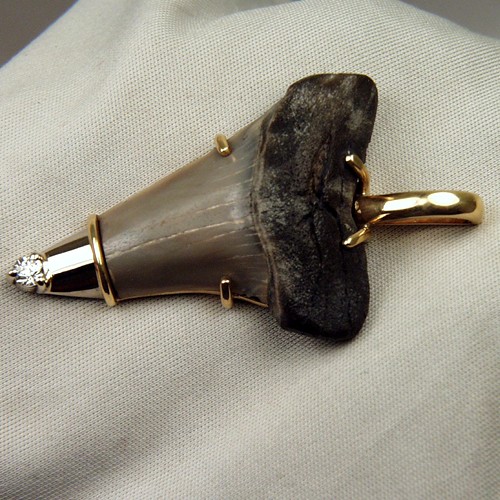 N Carolina Fossil Shark Tooth 18kt Diamond Pendant  Litnon.com