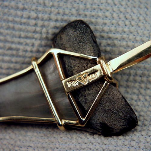N Carolina Fossil Shark Tooth 18kt Diamond Pendant  Litnon.com