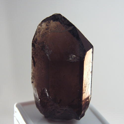 Big and Clean Smokey Quartz - Topaz Facet Rough 250ct  Litnon.com