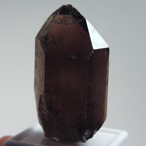 Big and Clean Smokey Quartz - Topaz Facet Rough 250ct  Litnon.com