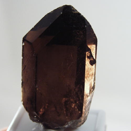 Big and Clean Smokey Quartz - Topaz Facet Rough 250ct  Litnon.com