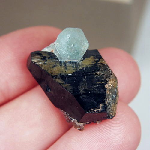 Blue Aquamarine Schorl Tourmaline Specimen Namibia  Litnon.com