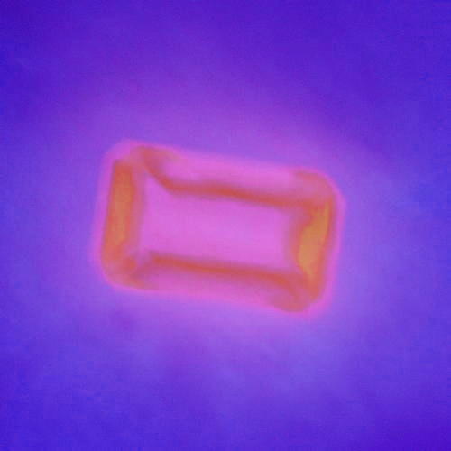 Rare Nice Color Hot Fluorescent Afghan Hackmanite  Litnon.com