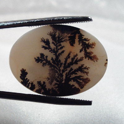All Natural Dendritic Slice Agate Picture Gem Stone Litnon.com