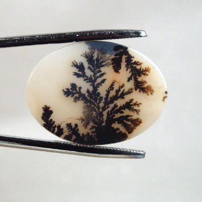 All Natural Dendritic Slice Agate Picture Gem Stone Litnon.com