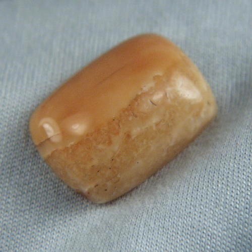 Prehistoric Mastodon Fossil Ivory Cab Canada  Litnon.com