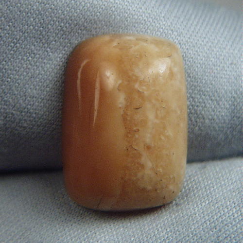 Prehistoric Mastodon Fossil Ivory Cab Canada  Litnon.com
