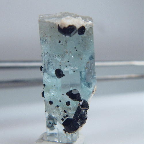 Blue Teminated Aquamarine - Schorl Crystal Namibia  Litnon.com