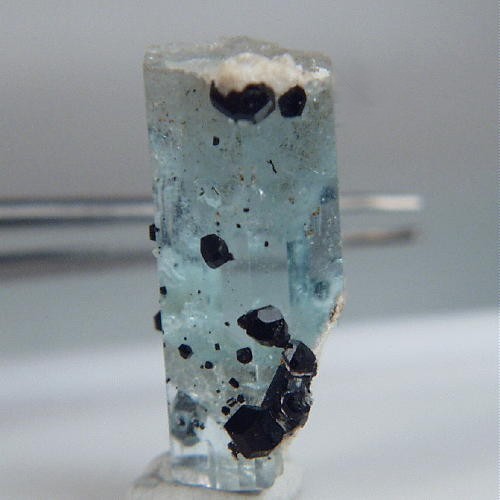 Blue Teminated Aquamarine - Schorl Crystal Namibia  Litnon.com