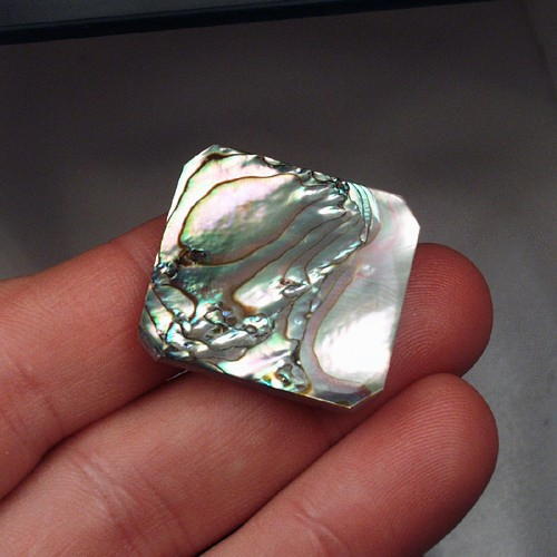 Color Iridescent California Red Abalone Cut Gem  Litnon.com