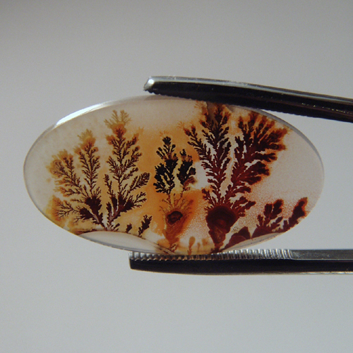 Museum Quality Worlds Best Scenic Dendritic Agate  Litnon.com