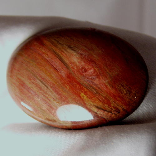 High Quality Big Petrified Wood Cabochon Arizona  Litnon.com