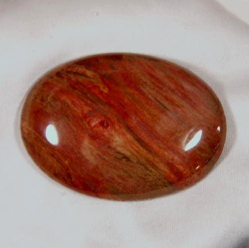 High Quality Big Petrified Wood Cabochon Arizona  Litnon.com