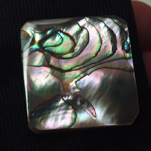 Color Iridescent California Red Abalone Cut Gem  Litnon.com