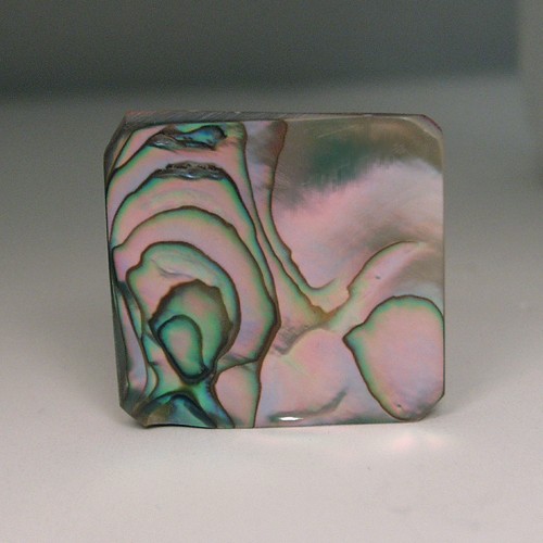 Color Iridescent California Red Abalone Cut Gem  Litnon.com