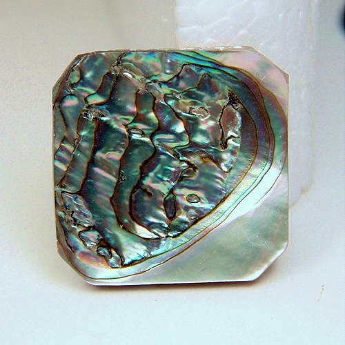 Color Iridescent California Red Abalone Cut Gem  Litnon.com