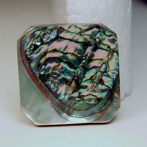 Color Iridescent California Red Abalone Cut Gem  Litnon.com