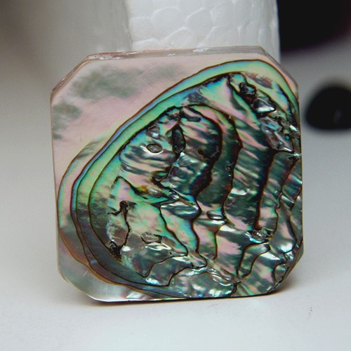 Color Iridescent California Red Abalone Cut Gem  Litnon.com