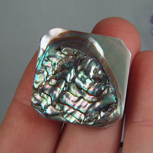 Color Iridescent California Red Abalone Cut Gem  Litnon.com
