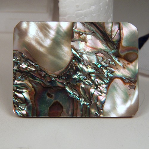 Color Iridescent California Red Abalone Cut Gem  Litnon.com