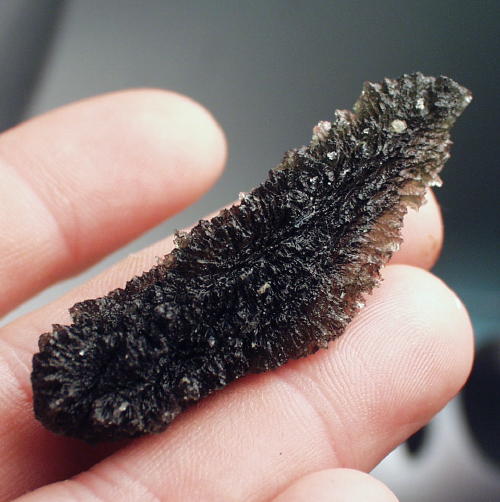 Rare Shape Besednice Czech Moldavite Rod Specimen  Litnon.com