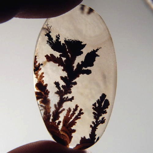   Rare and Fine Quality! Scenic Dendritic Agate!  Litnon.com