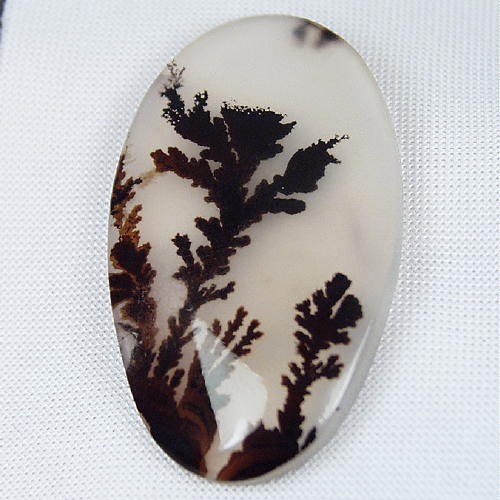   Rare and Fine Quality! Scenic Dendritic Agate!  Litnon.com
