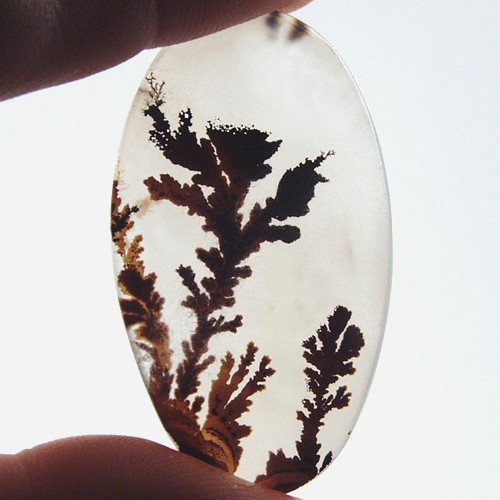   Rare and Fine Quality! Scenic Dendritic Agate!  Litnon.com