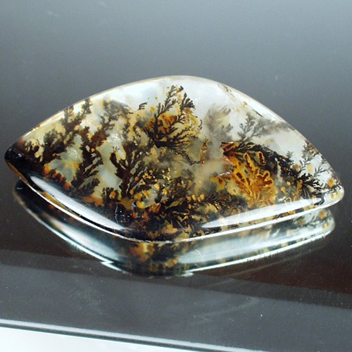 Collectors Quality Under Water Scene Dendritic Quartz  Litnon.com