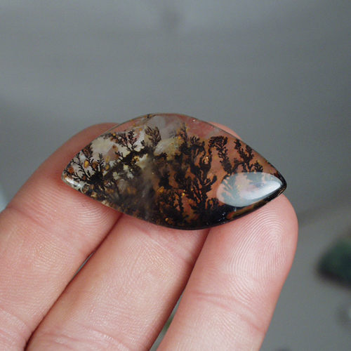 Collectors Quality Under Water Scene Dendritic Quartz  Litnon.com