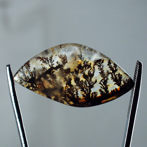 Collectors Quality Under Water Scene Dendritic Quartz  Litnon.com