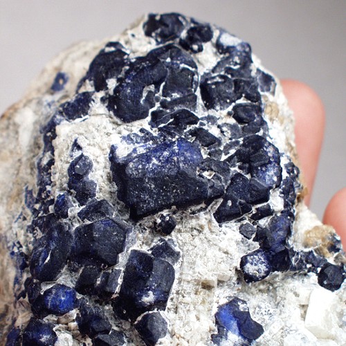 Quality Lapis - Lazuli Lazurite Pyrite Cabinet Specimen Litnon.com