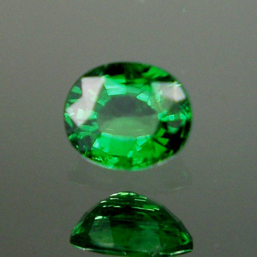 Color Chrome GreenTsavorite Garnet Kenya 1.23 ct  Litnon.com