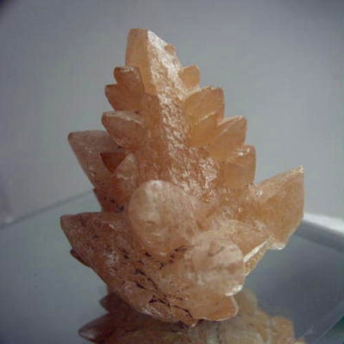 Special Cabinet Size Dog Tooth Calcite Specimen Litnon.com
