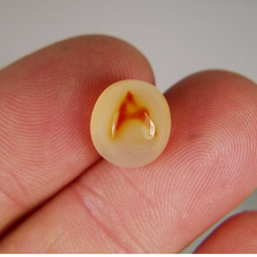 Ultra Rare Indonesian Letter  Litnon.com