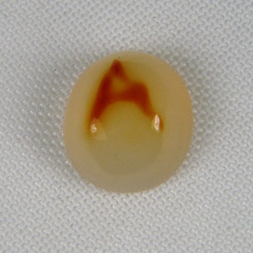 Ultra Rare Indonesian Letter  Litnon.com