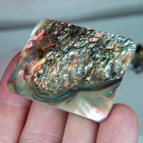 Color Iridescent California Red Abalone Cut Gem  Litnon.com