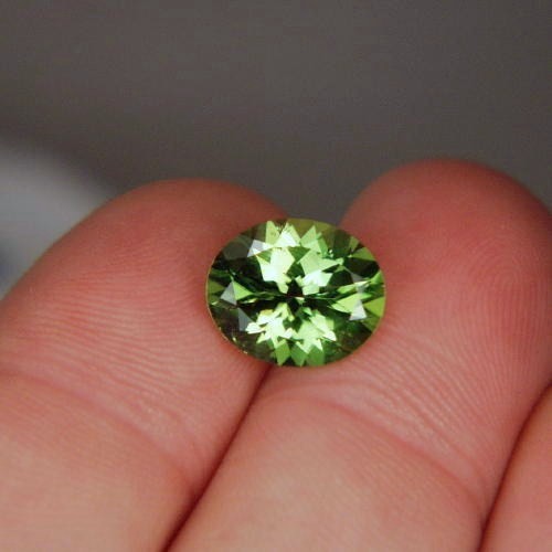 Top Gem Fine Cut and Color Pakistan Peridot 4.75 ct  Litnon.com