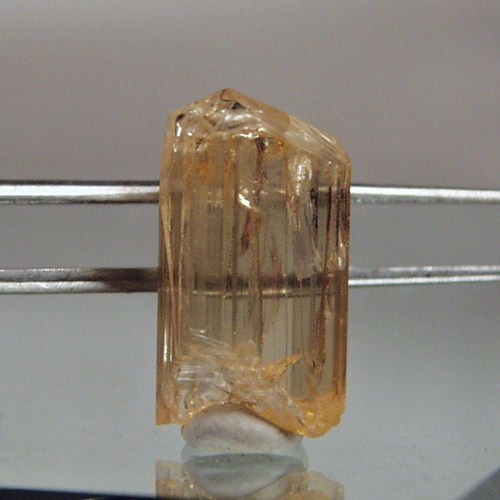 Collectors Quality Golden Scapolite Crystal Tanzania  Litnon.com