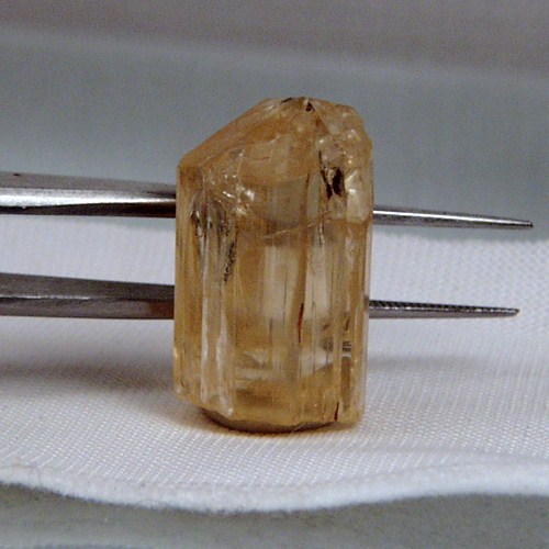 Collectors Quality Golden Scapolite Crystal Tanzania  Litnon.com