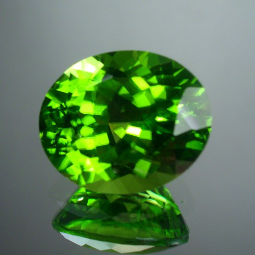 Big Top Gem Fine Color Pakistan Peridot 7.98ct  Litnon.com