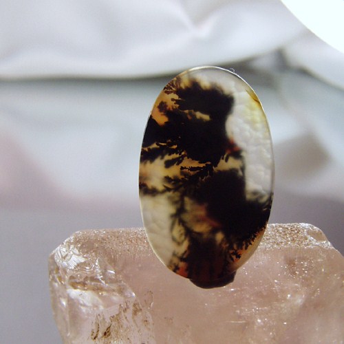 Funky Mixup Dendritic Agate Gem Stone Rock Litnon.com