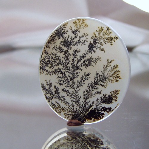 New Rare Quality Dendritic Polished Slice Agate Stone Litnon.com