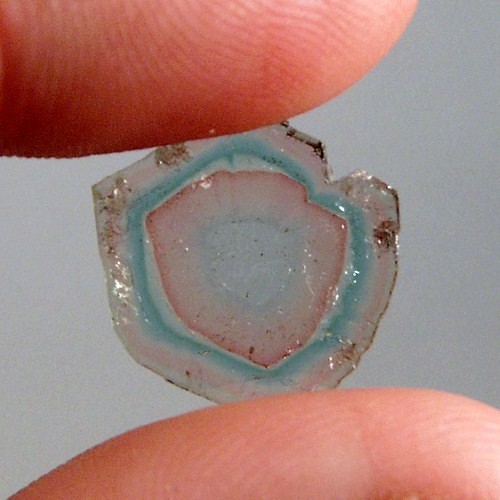 Rare colors Natural Tourmaline Slice Brazil Litnon.com