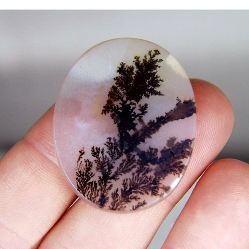   Rare and Fine Quality! Scenic Dendritic Agate!  Litnon.com