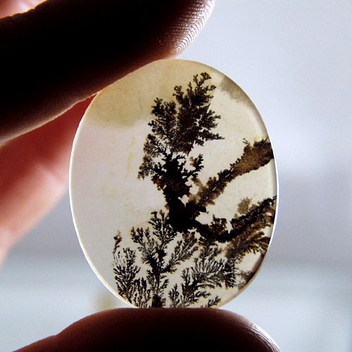   Rare and Fine Quality! Scenic Dendritic Agate!  Litnon.com