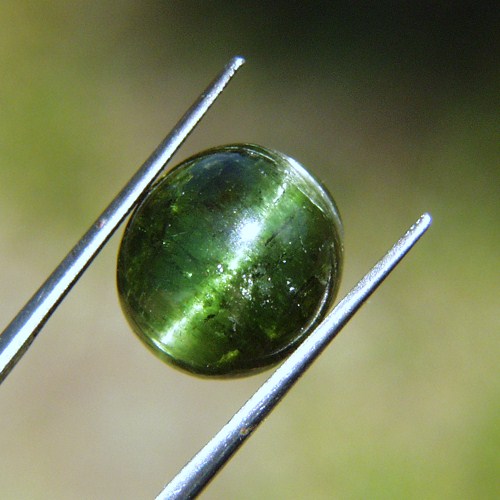 Big Sharp Cats Eye Green Tourmaline Brazil 12.55 ct  Litnon.com